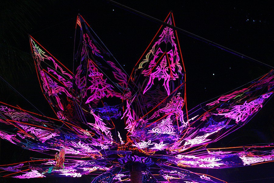 Flor de Lotus Geômetra Universo Paralello 2008