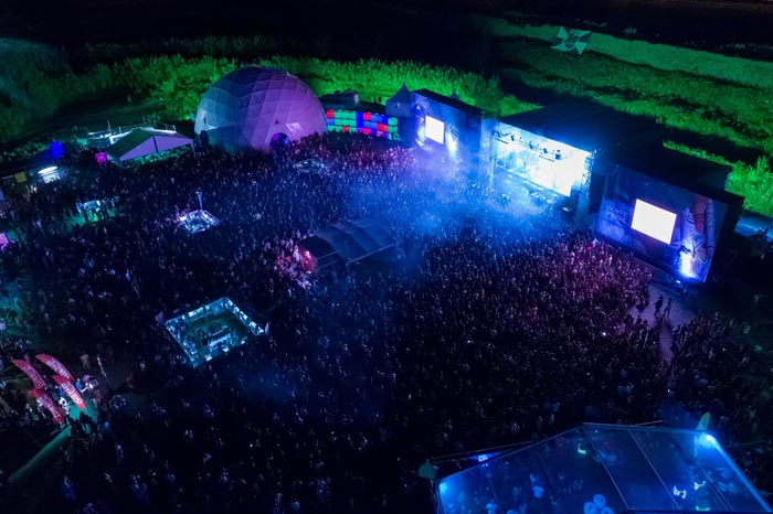 vibe tribe psy